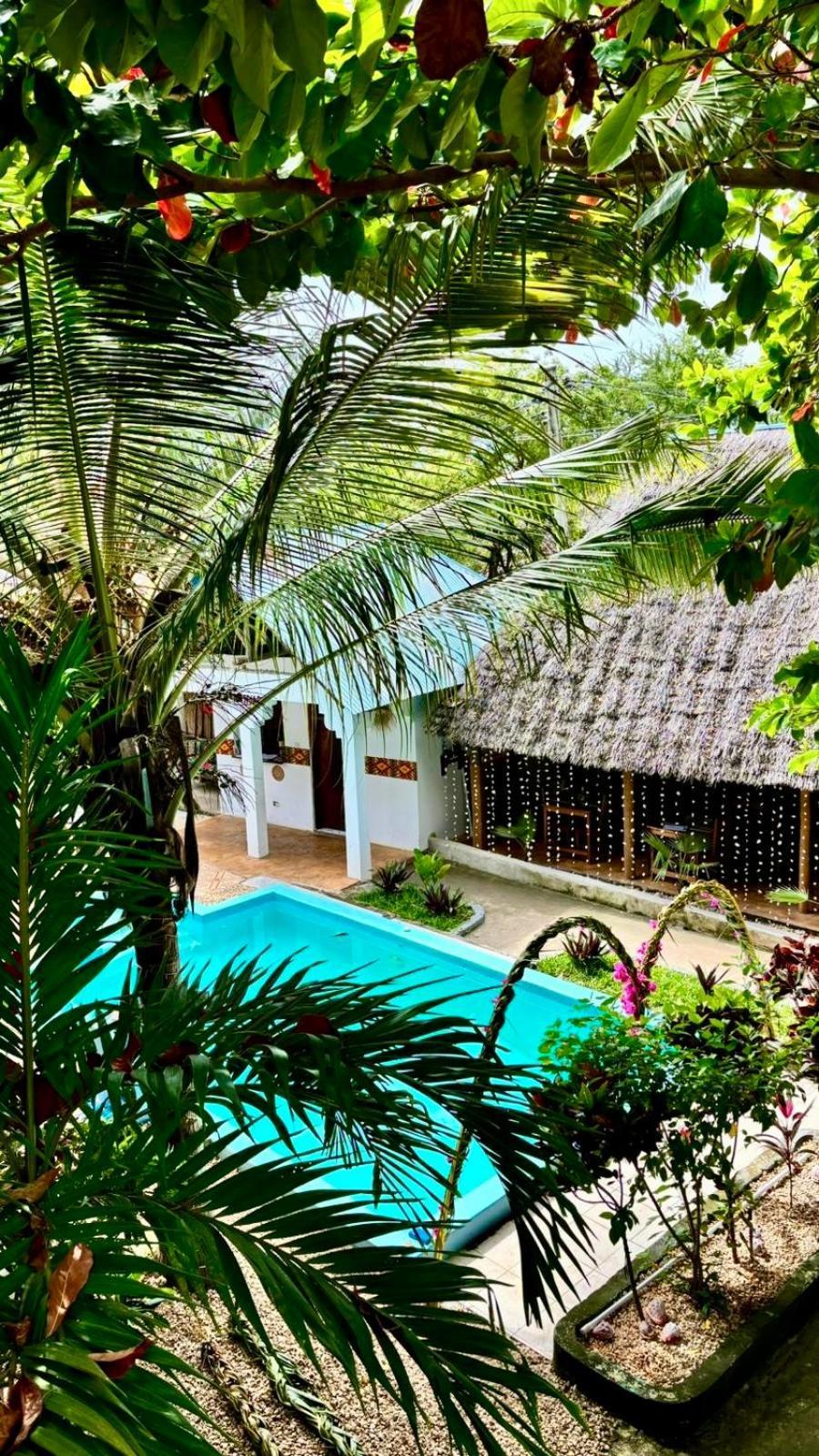 Bed and Breakfast Kilimanjaro Нунгви Экстерьер фото