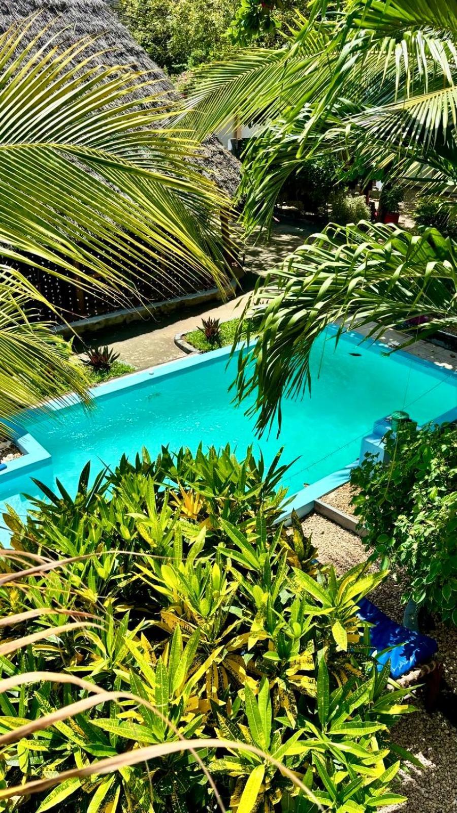 Bed and Breakfast Kilimanjaro Нунгви Экстерьер фото